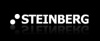 STEINBERG